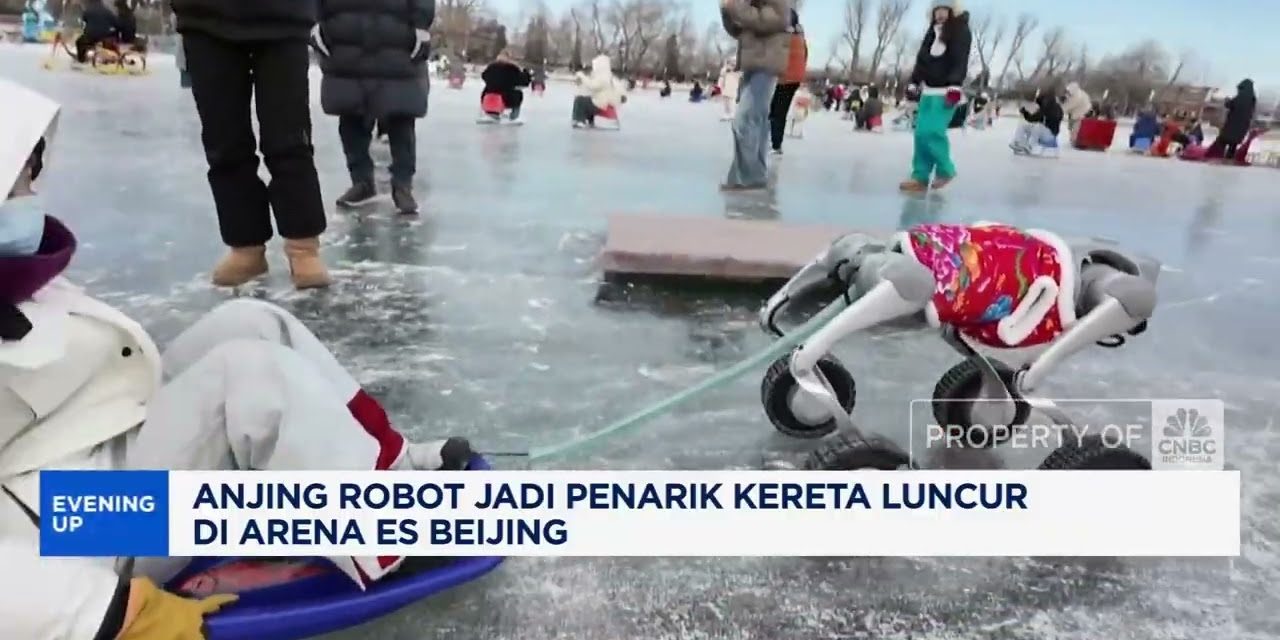 Atraksi Unik: Kereta Luncur Di Tarik Anjing Robot Di Festival Salju