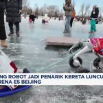 Atraksi Unik: Kereta Luncur Di Tarik Anjing Robot Di Festival Salju