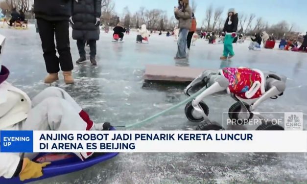 Atraksi Unik: Kereta Luncur Di Tarik Anjing Robot Di Festival Salju