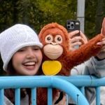 Aksi Manis Lisa BLACKPINK Lihat Punch Bayi Monyet Di Jepang