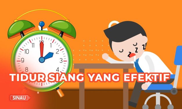Mengatur Waktu Tidur Siang Untuk Kesehatan Tubuh, Yuk Simak