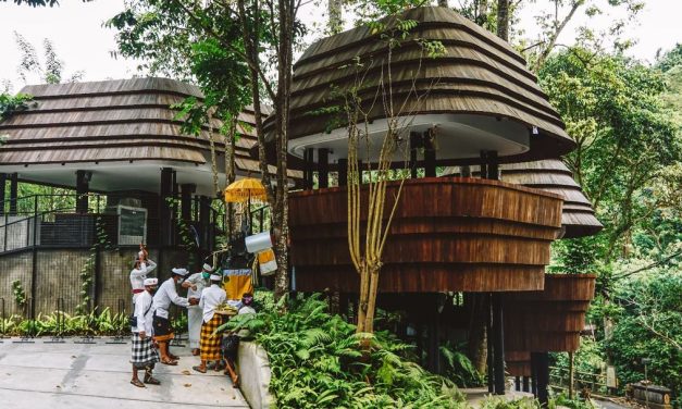 Melali Ubud: Tempat Nongkrong Dan Sajian Lezat Di Jantung Ubud