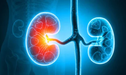 Transplantasi Ginjal Dan Hambatan Sistem Donor Di Indonesia