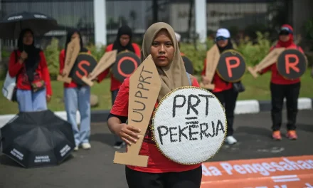 Ini Tugas PRT Dalam UU PPRT Yang Meliputi Hewan Peliharaan